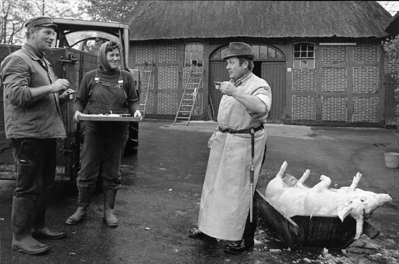 “Picknick” nach Schweine schlachten